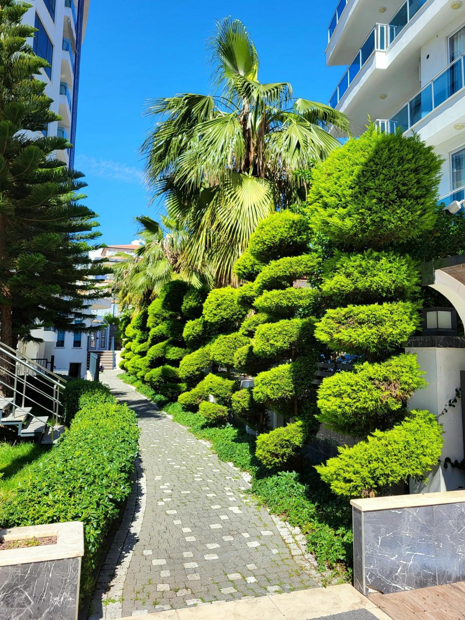 Elite Marine Residence - Cleopatra, Center Alanya Zewnętrze zdjęcie
